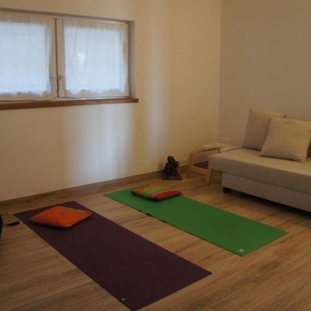 Agriturismo Zenestrin 오르코 펠리노 외부 사진