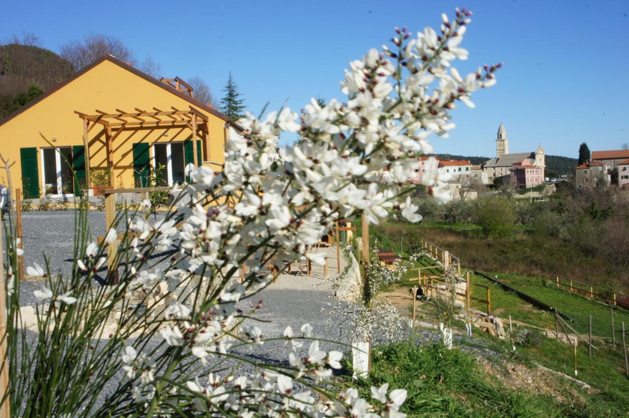 Agriturismo Zenestrin 오르코 펠리노 외부 사진
