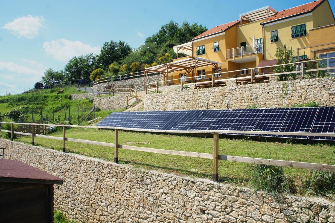 Agriturismo Zenestrin 오르코 펠리노 외부 사진